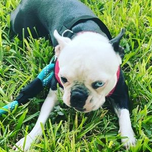 Meet your Posher, Gabbz